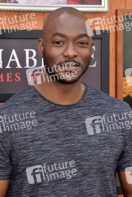 Filmpremiere 'Annabelle 3' in Los Angeles
