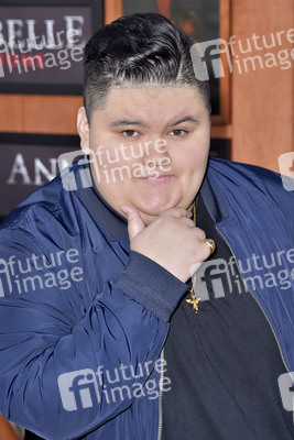 Filmpremiere 'Annabelle 3' in Los Angeles