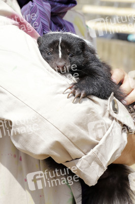 Pressetermin 'Unter Geiern - Der Sohn des Bärenjägers' in Bad Segeberg