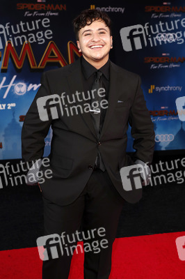 Filmpremiere 'Spider-Man: Far from Home' in Los Angeles