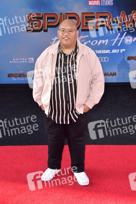 Filmpremiere 'Spider-Man: Far from Home' in Los Angeles