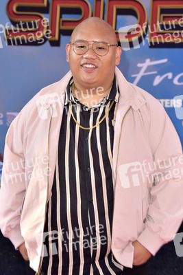 Filmpremiere 'Spider-Man: Far from Home' in Los Angeles