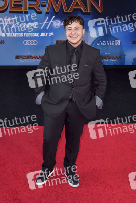 Filmpremiere 'Spider-Man: Far from Home' in Los Angeles