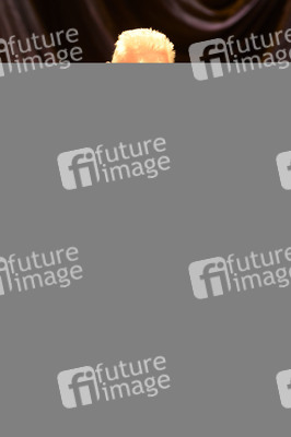 Konzert von Joe Jackson in Hannover