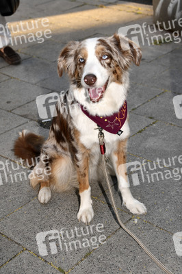 ARD Degeto Empfang, Filmfest München 2019