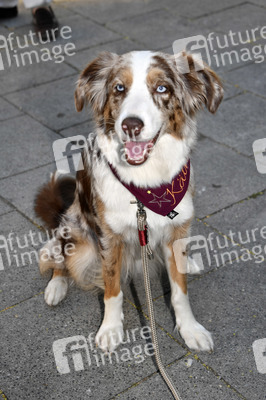 ARD Degeto Empfang, Filmfest München 2019