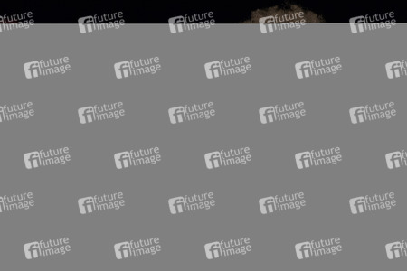 Custo Barcelona Fashion Show auf der Mercedes-Benz Fashion Week Madrid Spring/Summer 2020