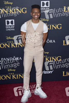 Filmpremiere 'Der König der Löwen' in Los Angeles