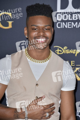 Filmpremiere 'Der König der Löwen' in Los Angeles