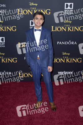 Filmpremiere 'Der König der Löwen' in Los Angeles