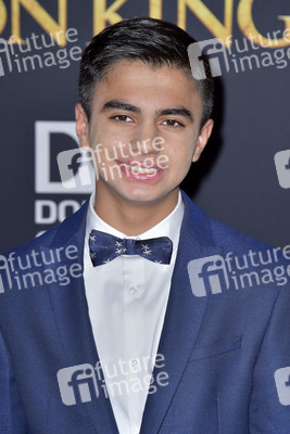 Filmpremiere 'Der König der Löwen' in Los Angeles