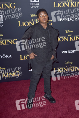 Filmpremiere 'Der König der Löwen' in Los Angeles