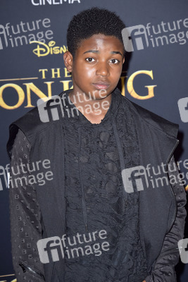 Filmpremiere 'Der König der Löwen' in Los Angeles