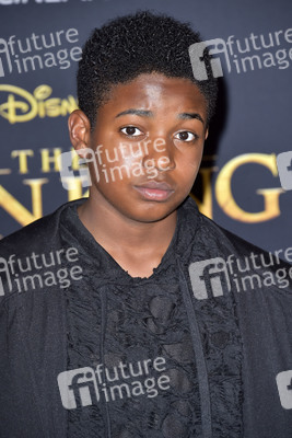 Filmpremiere 'Der König der Löwen' in Los Angeles