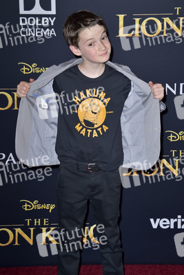 Filmpremiere 'Der König der Löwen' in Los Angeles