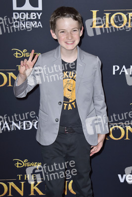 Filmpremiere 'Der König der Löwen' in Los Angeles