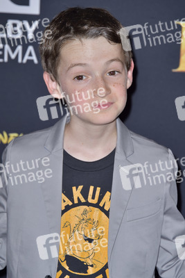 Filmpremiere 'Der König der Löwen' in Los Angeles