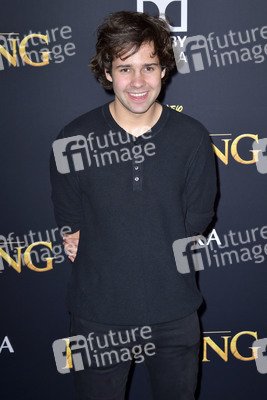 Filmpremiere 'Der König der Löwen' in Los Angeles