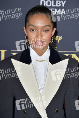 Filmpremiere 'Der König der Löwen' in Los Angeles