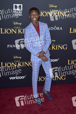 Filmpremiere 'Der König der Löwen' in Los Angeles