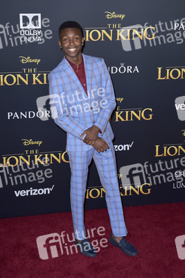 Filmpremiere 'Der König der Löwen' in Los Angeles