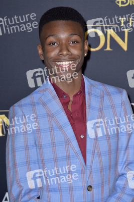 Filmpremiere 'Der König der Löwen' in Los Angeles