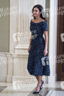 Audienz von Königin Letizia in Madrid