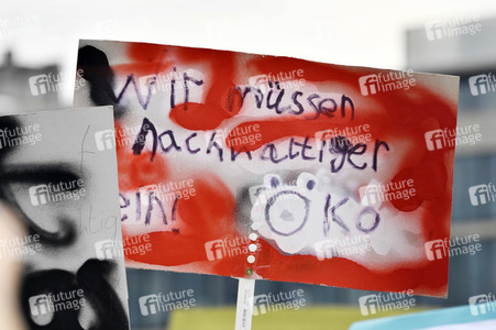 'Fridays for Future' Schülerdemonstration in Berlin