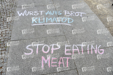 'Fridays for Future' Schülerdemonstration in Berlin