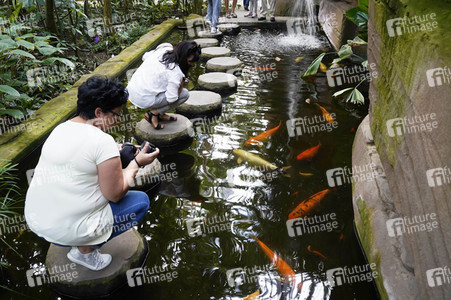 Botanische Nacht 2019 in Berlin