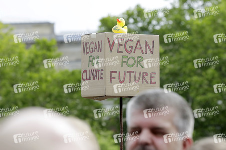'Fridays for Future' Schülerdemonstration in Berlin