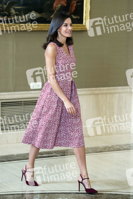 Königin Letizia bei einer Audienz in Madrid