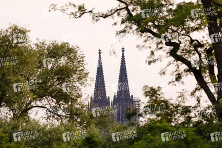 Kölner Dom in Köln
