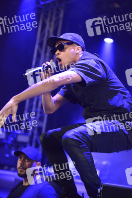 Deichbrand Festival 2019 in Wurster Nordseeküste