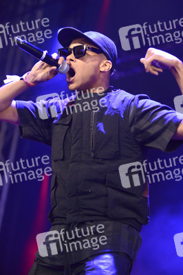 Deichbrand Festival 2019 in Wurster Nordseeküste