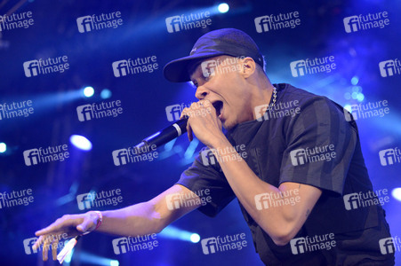 Deichbrand Festival 2019 in Wurster Nordseeküste