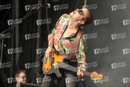 Deichbrand Festival 2019 in Wurster Nordseeküste