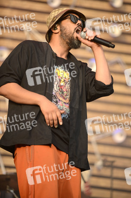 Deichbrand Festival 2019 in Wurster Nordseeküste