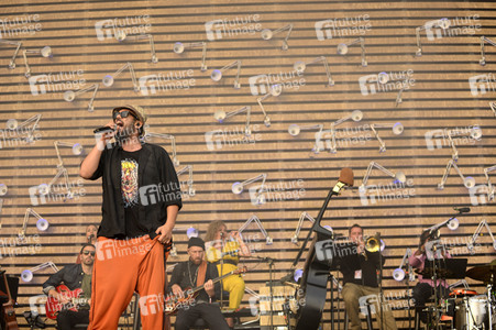 Deichbrand Festival 2019 in Wurster Nordseeküste