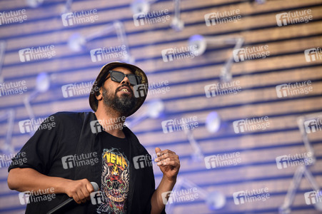 Deichbrand Festival 2019 in Wurster Nordseeküste