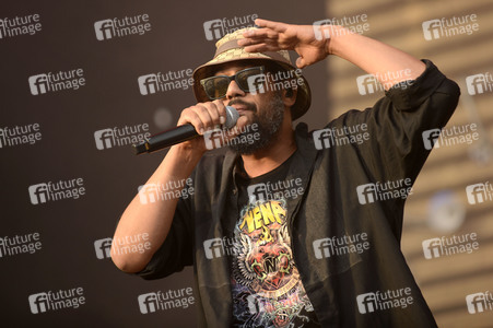 Deichbrand Festival 2019 in Wurster Nordseeküste