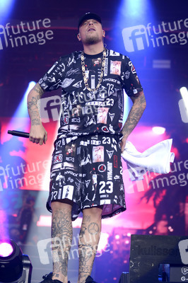 Deichbrand Festival 2019 in Wurster Nordseeküste