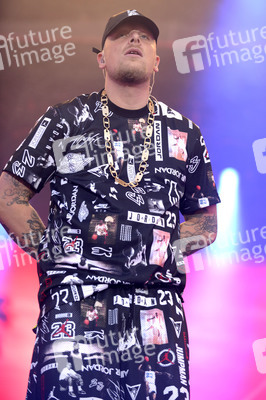 Deichbrand Festival 2019 in Wurster Nordseeküste