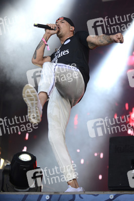 Deichbrand Festival 2019 in Wurster Nordseeküste