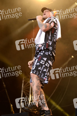 Deichbrand Festival 2019 in Wurster Nordseeküste