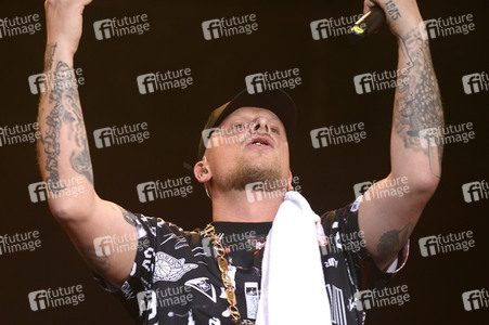 Deichbrand Festival 2019 in Wurster Nordseeküste