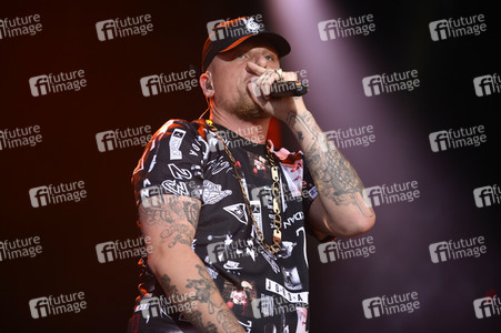 Deichbrand Festival 2019 in Wurster Nordseeküste