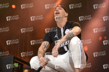 Deichbrand Festival 2019 in Wurster Nordseeküste