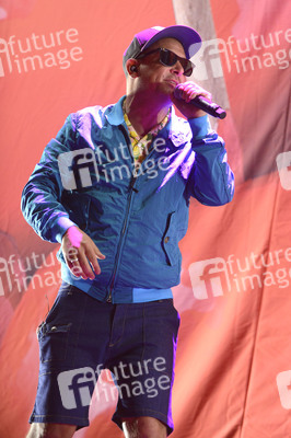 Deichbrand Festival 2019 in Wurster Nordseeküste