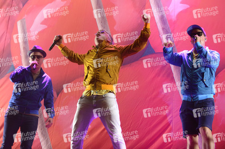 Deichbrand Festival 2019 in Wurster Nordseeküste